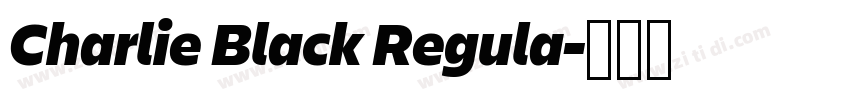 Charlie Black Regula字体转换